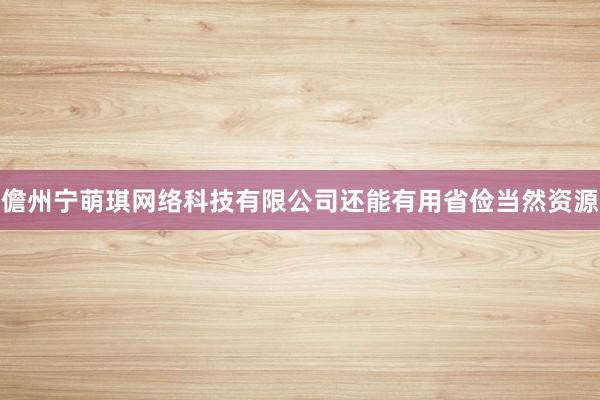 儋州宁萌琪网络科技有限公司还能有用省俭当然资源