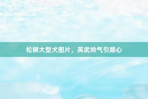 松狮大型犬图片，英武帅气引顺心